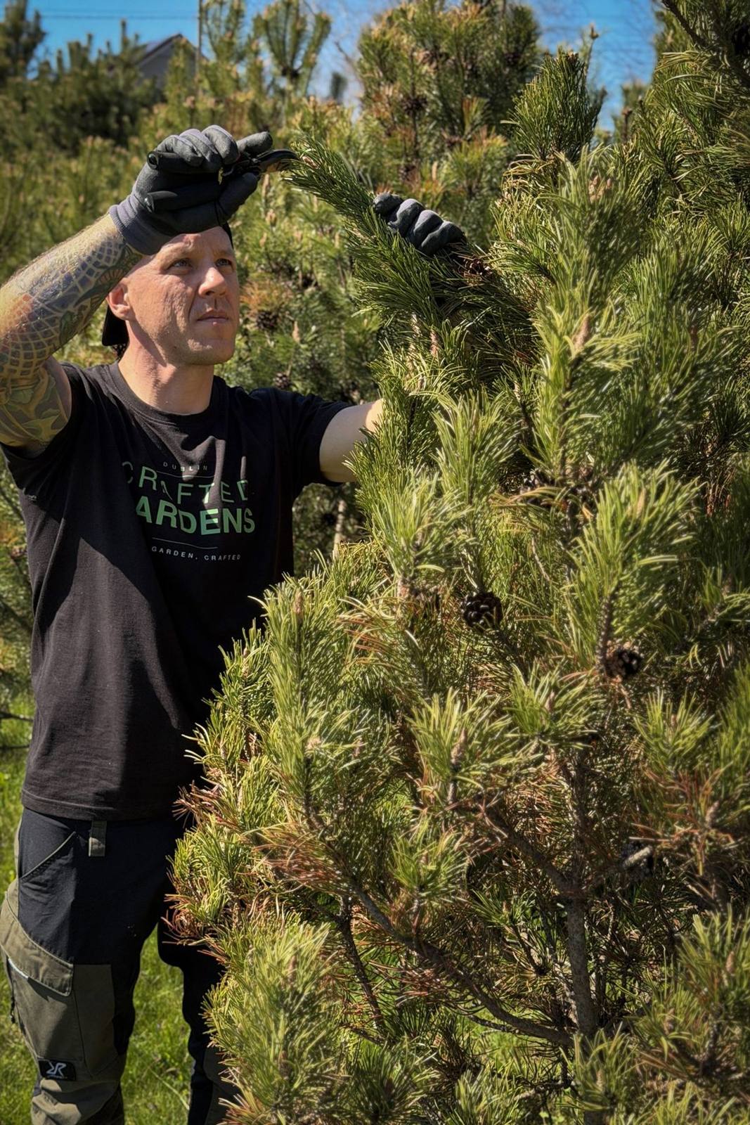 Andy, founder of Crafted Gardens, shaping a pine