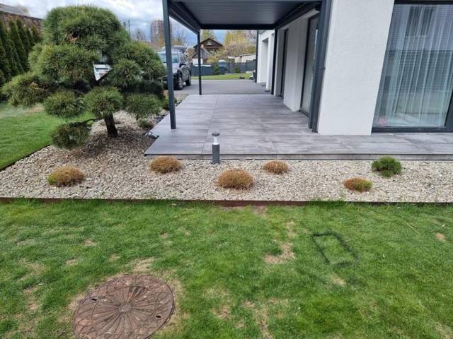 Shaped pine beside a porcelain patio under an aluminium patio cover